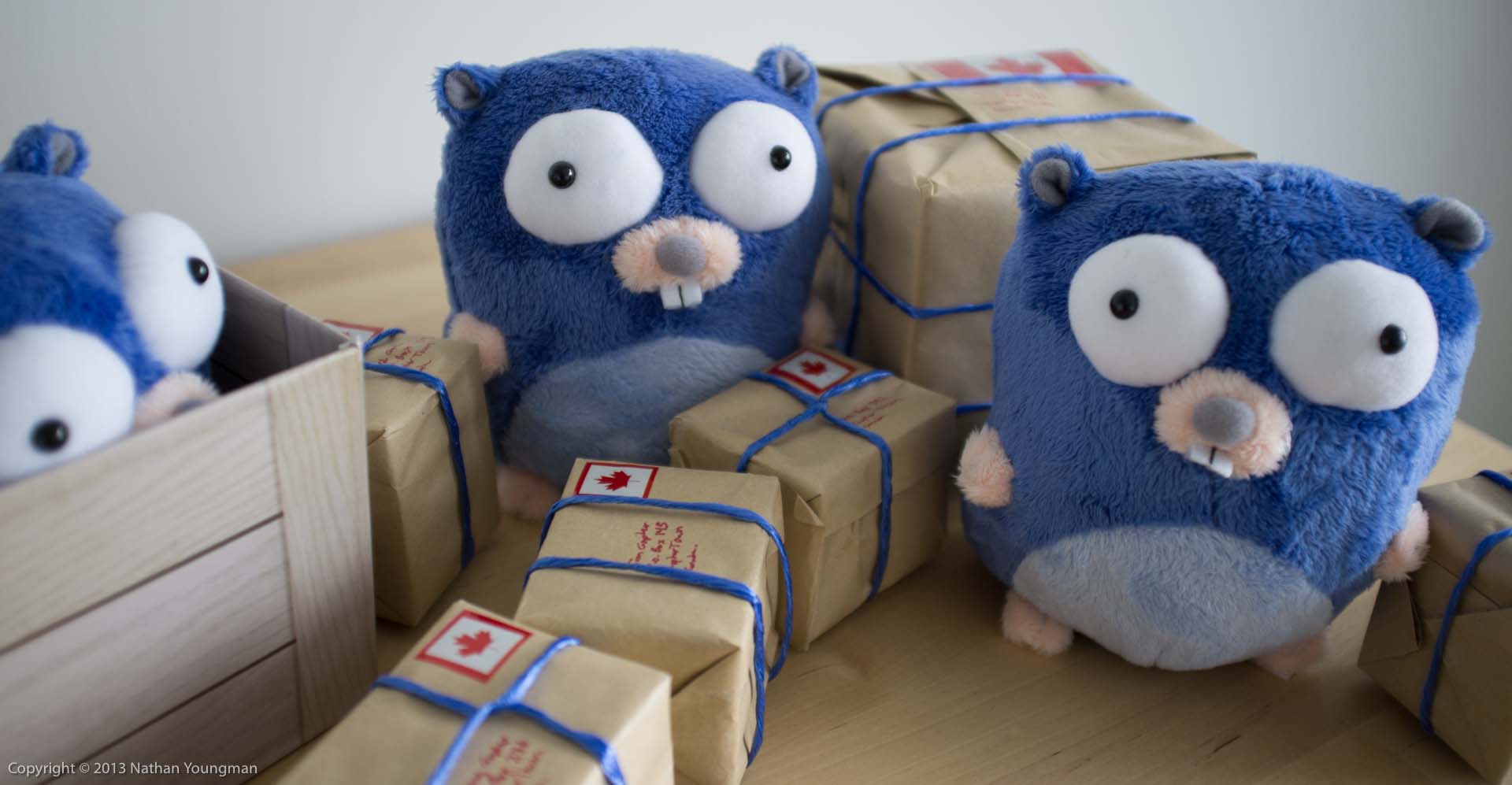 Gophers with parcels