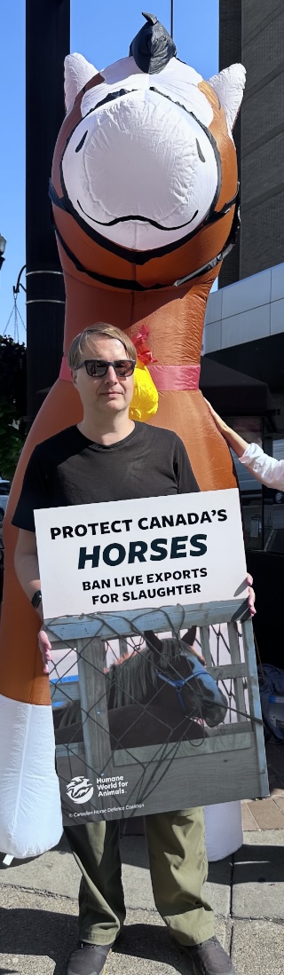 Protect Canada's Horses. Ban Live Export for Slaughter